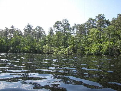 Jones Lake State Park