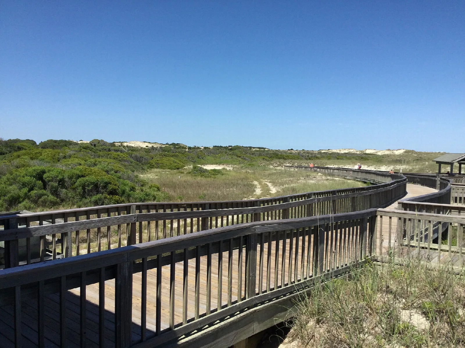 Wooden boardwalk curving through dunes and green shrubs