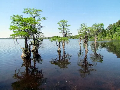 Singletary Lake State Park