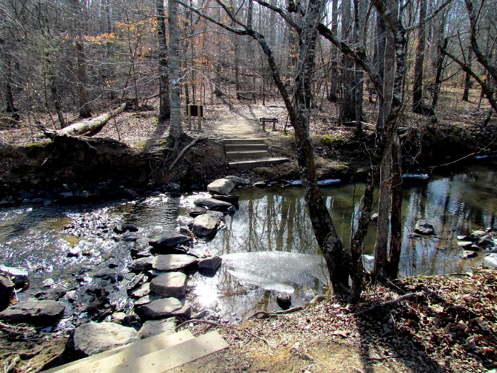 Stepping stones crossing a creek in bare winter woods