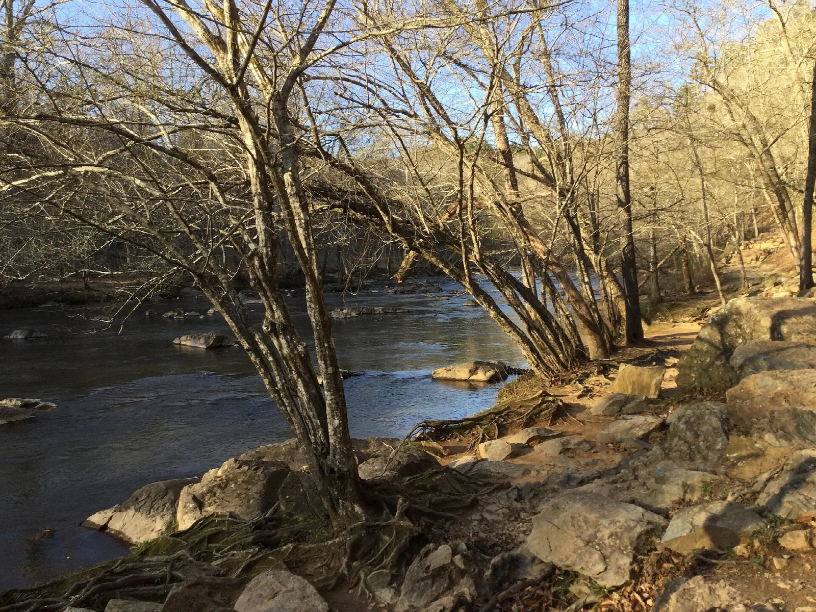 River bend with bare trees and a rocky bank