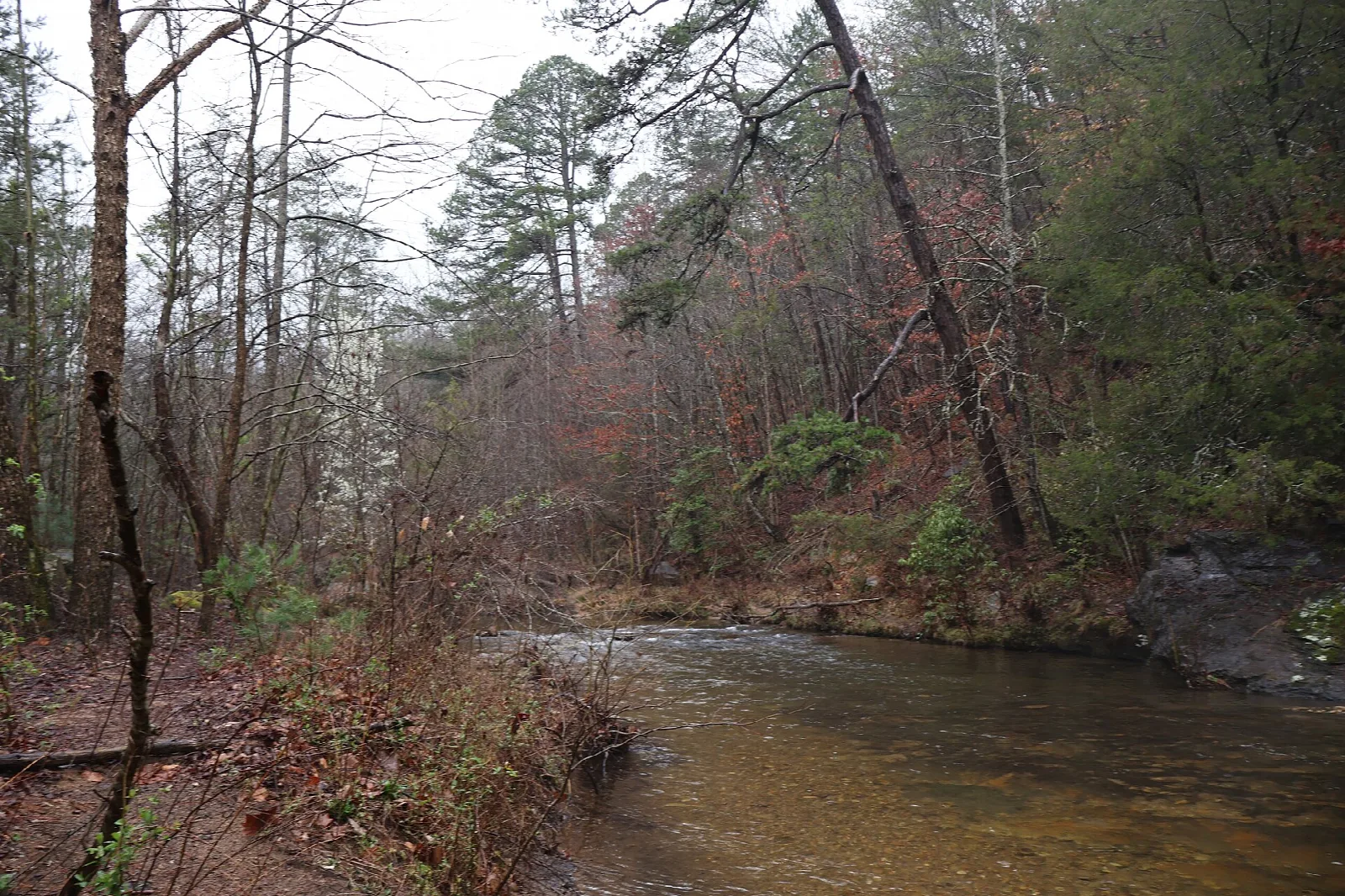Clear river running past a wooded bank in bare late-season forest