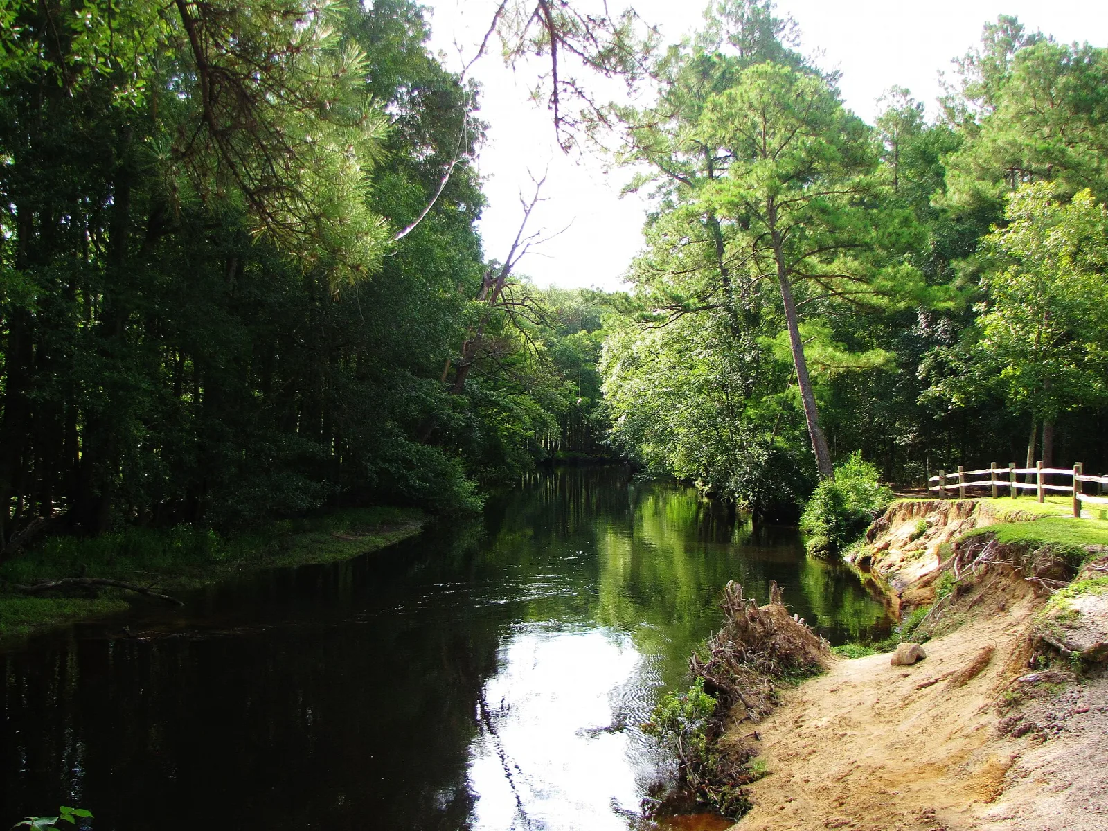 Dark river bending past green trees and a sandy bank