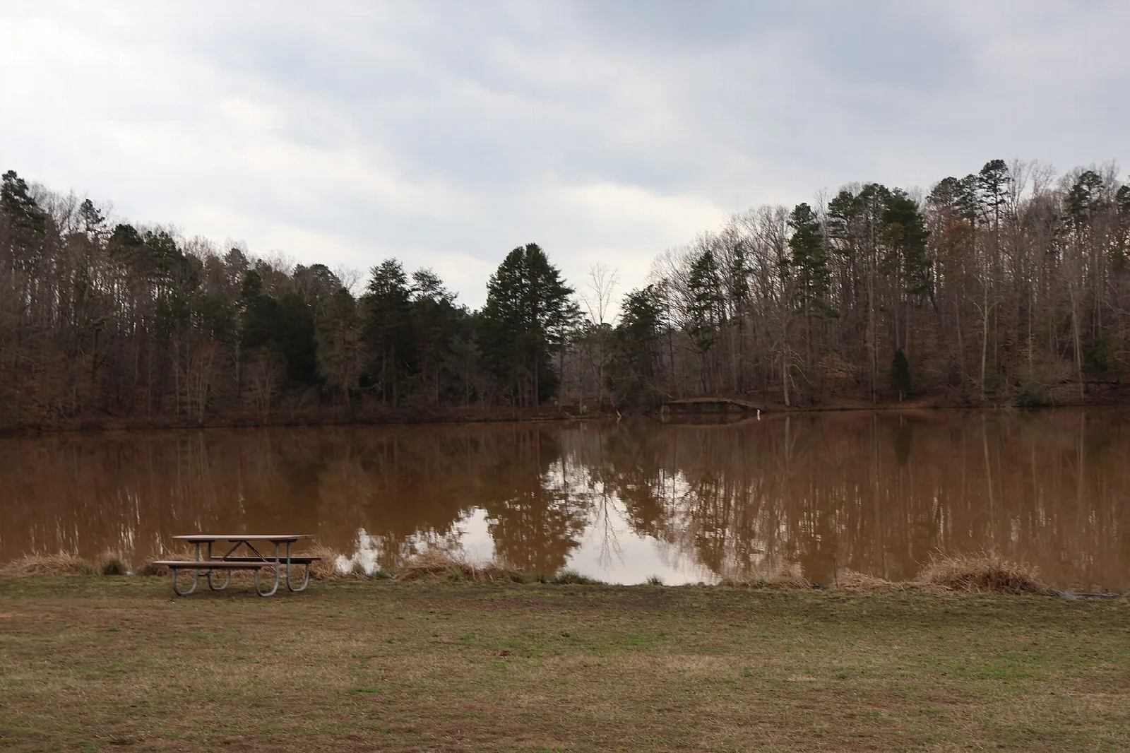 Brown lake water with a picnic table on the grass and trees across the water