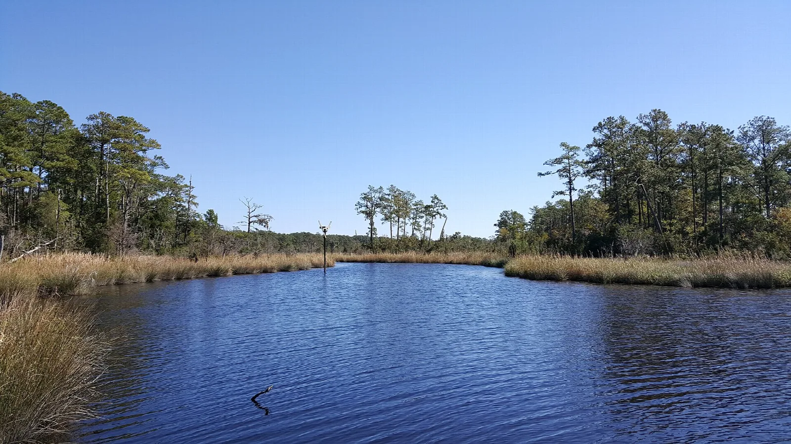 Blue water inlet with marsh grass and tree islands