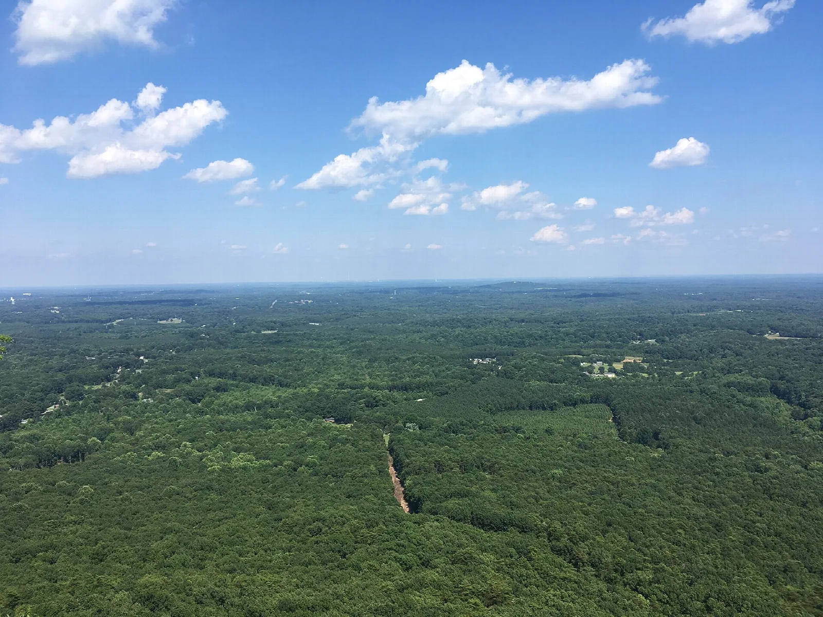 Wide view over flat green forest from a summit