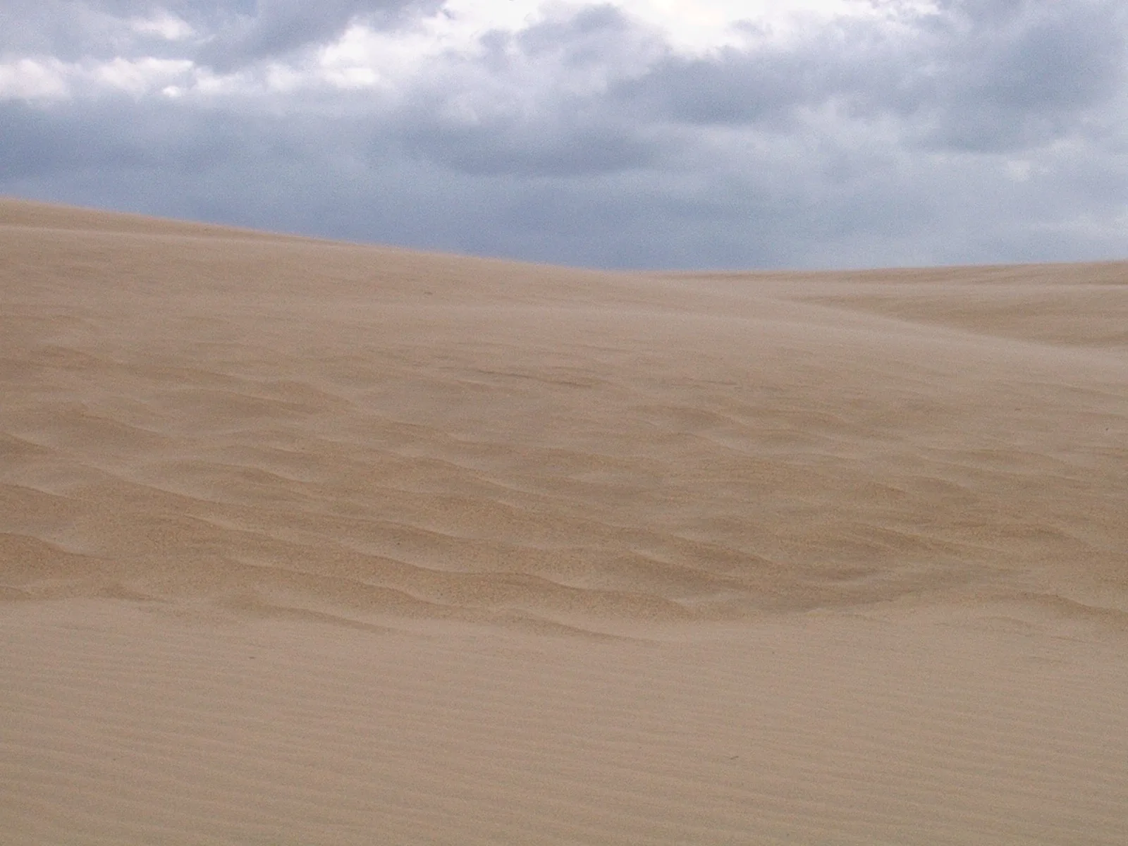 Smooth rippled sand dunes under a cloudy sky