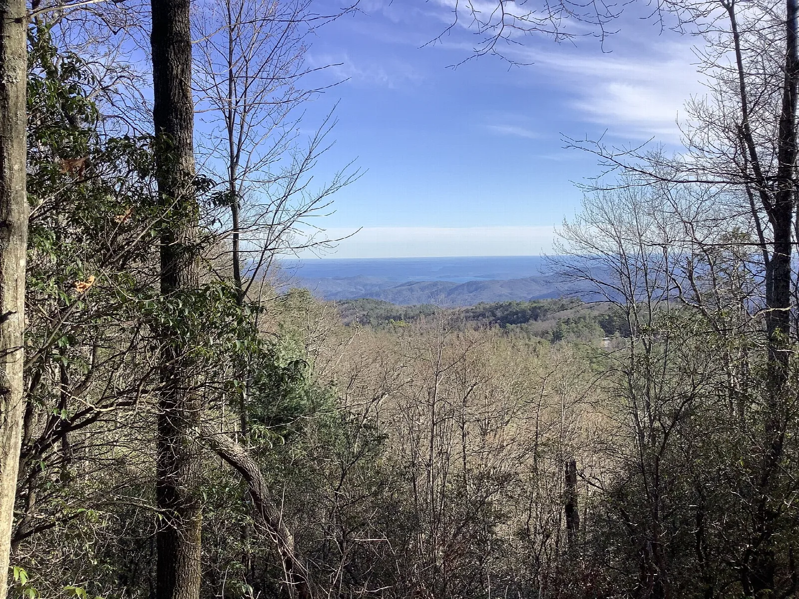 Hazy mountain view through bare trees at a side overlook