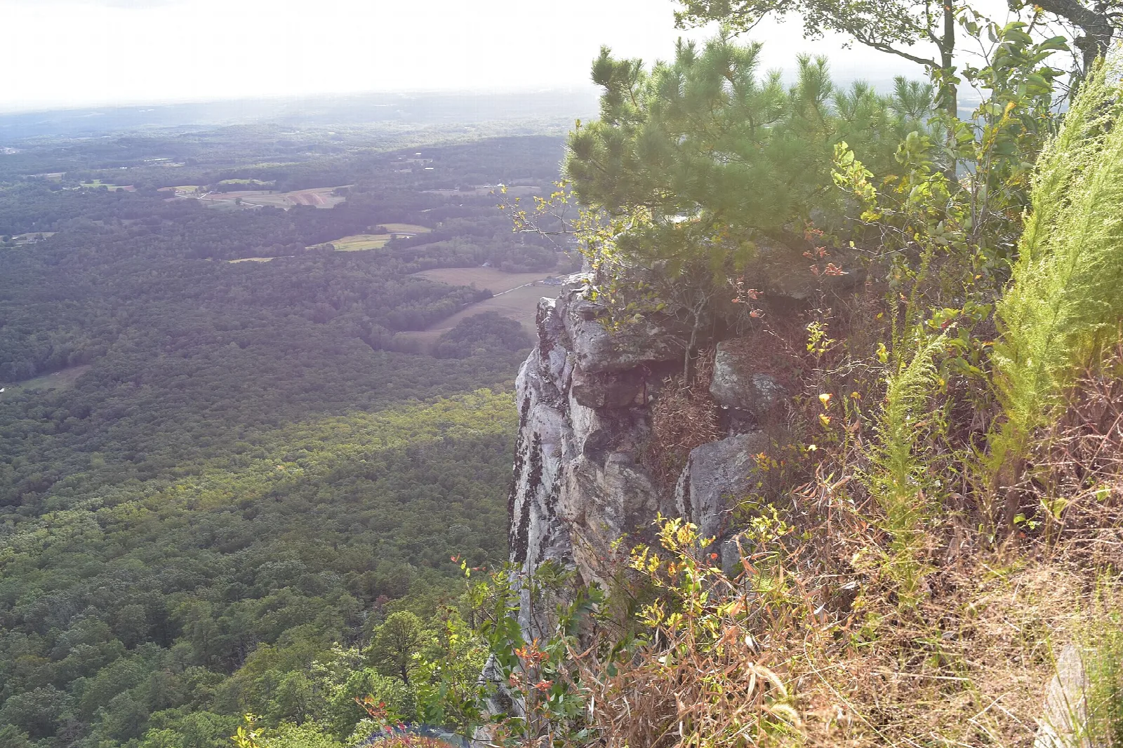 Rock outcrop with ferns and pine in the foreground and a wide valley below