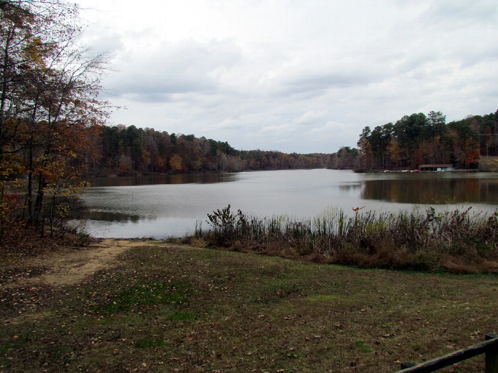 Calm lake with autumn trees along the far shore under a gray sky