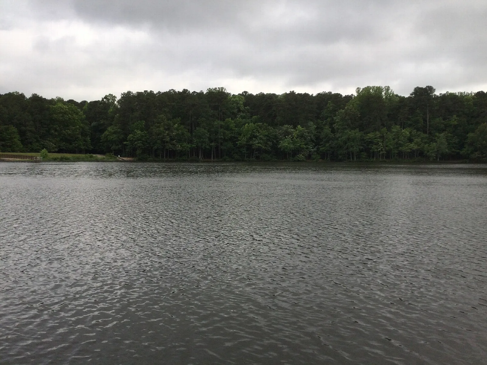 Wide calm lake with a tree-lined shore under a gray sky