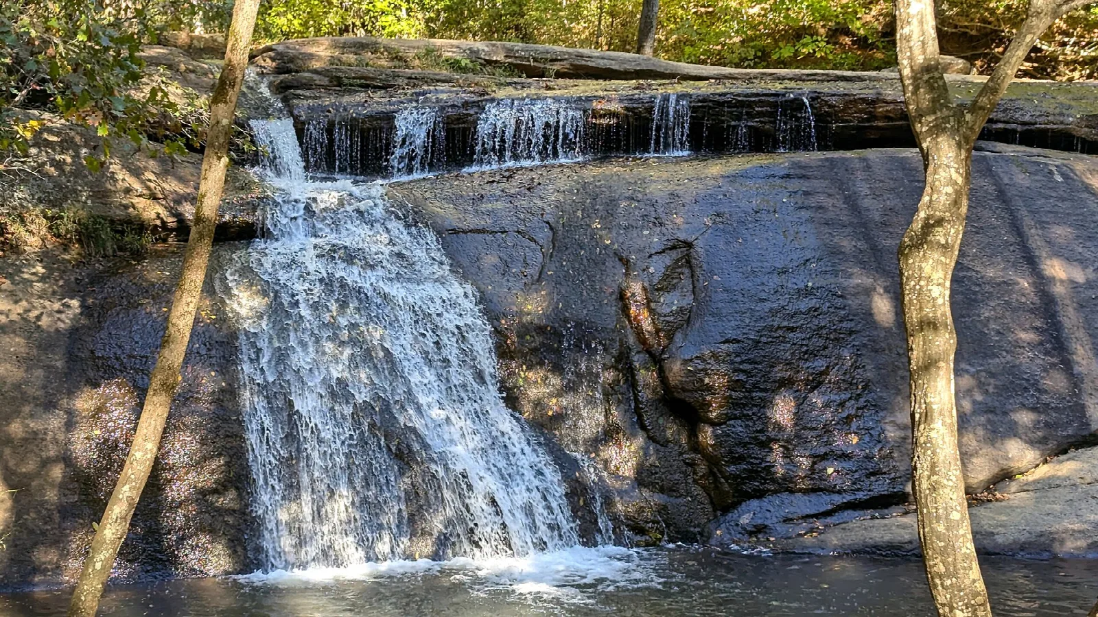 Small waterfall pouring over a broad rock ledge with bare trees on both sides