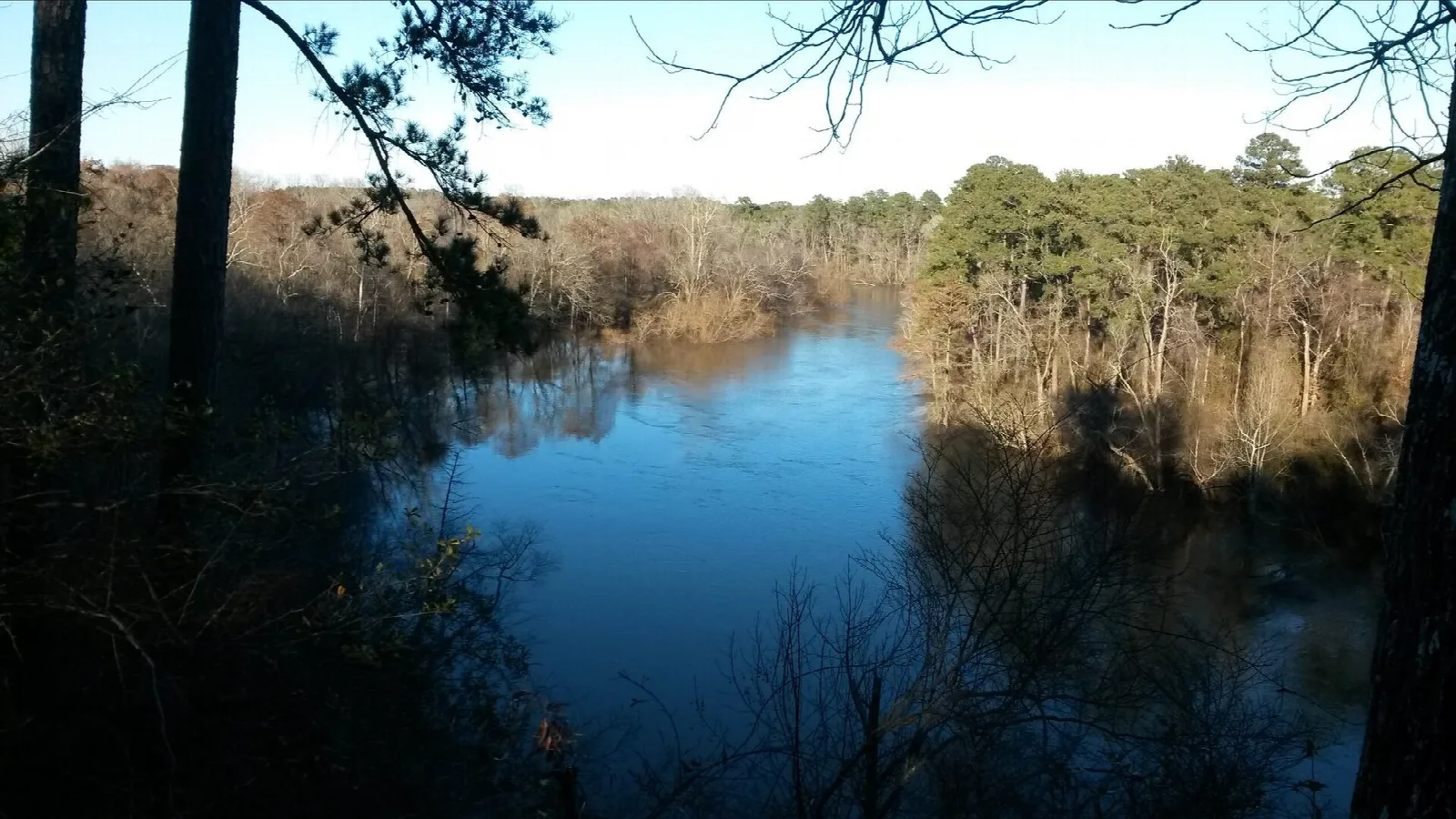 Blue river bend framed by dark trunks and bare branches