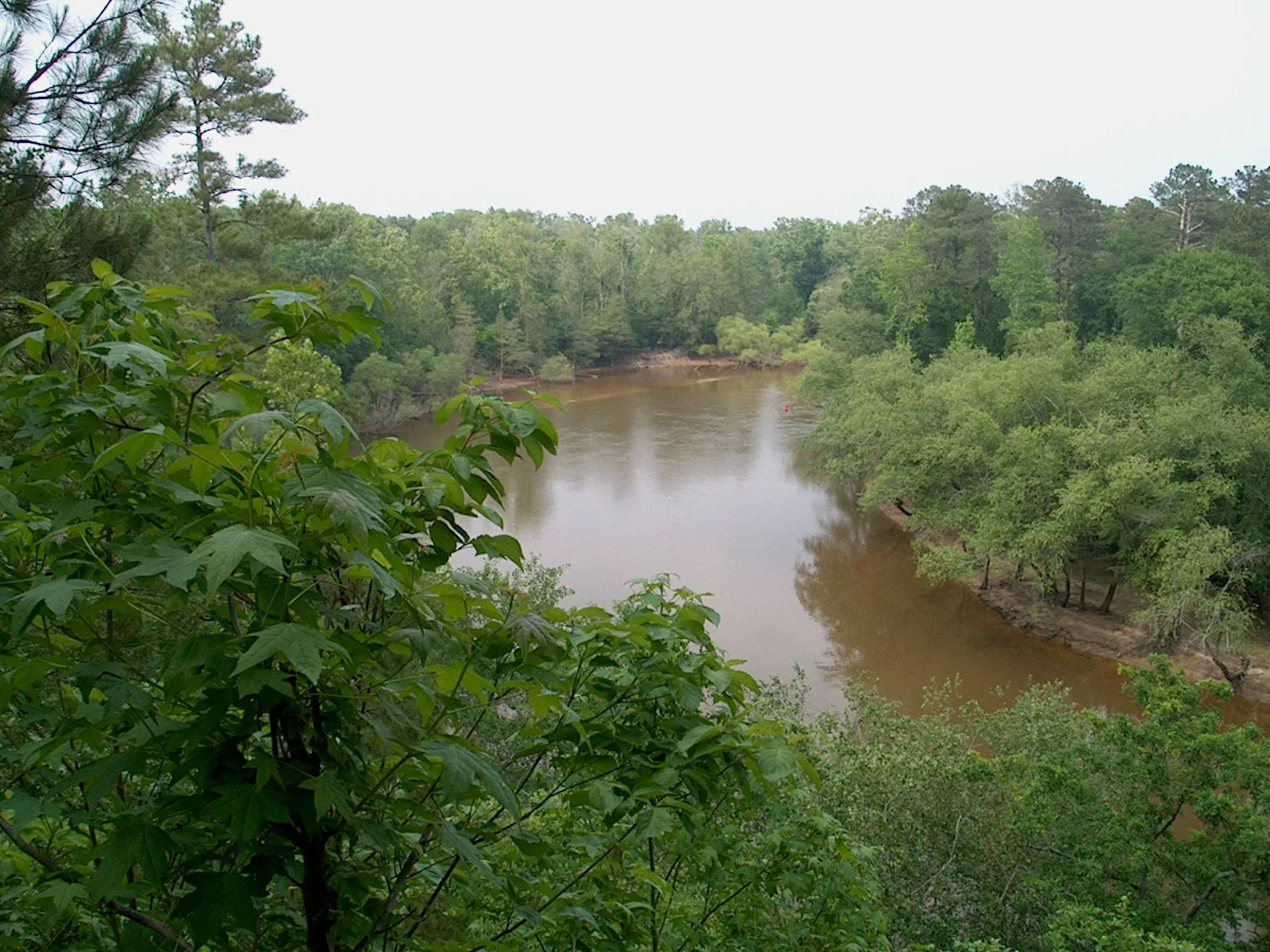 Brown river winding between green forested banks