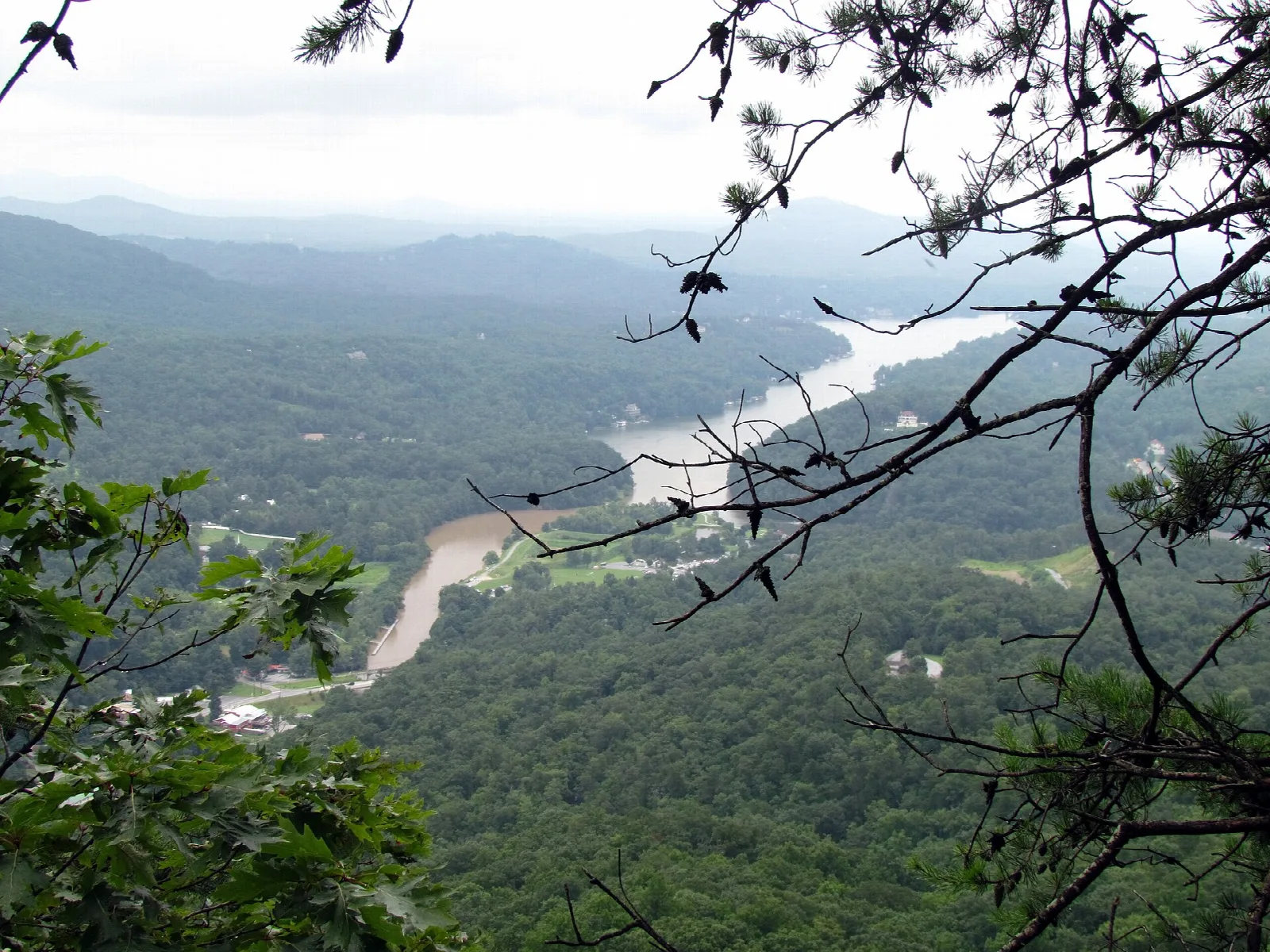 A river winding through a forested gorge seen through tree branches