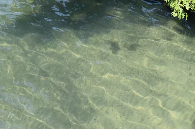 Pettigrew State Park