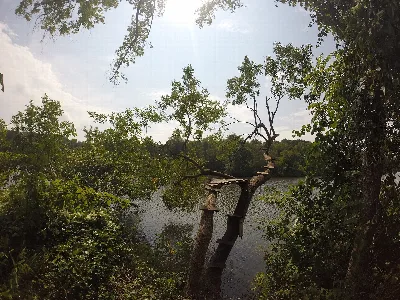 Haw River State Park