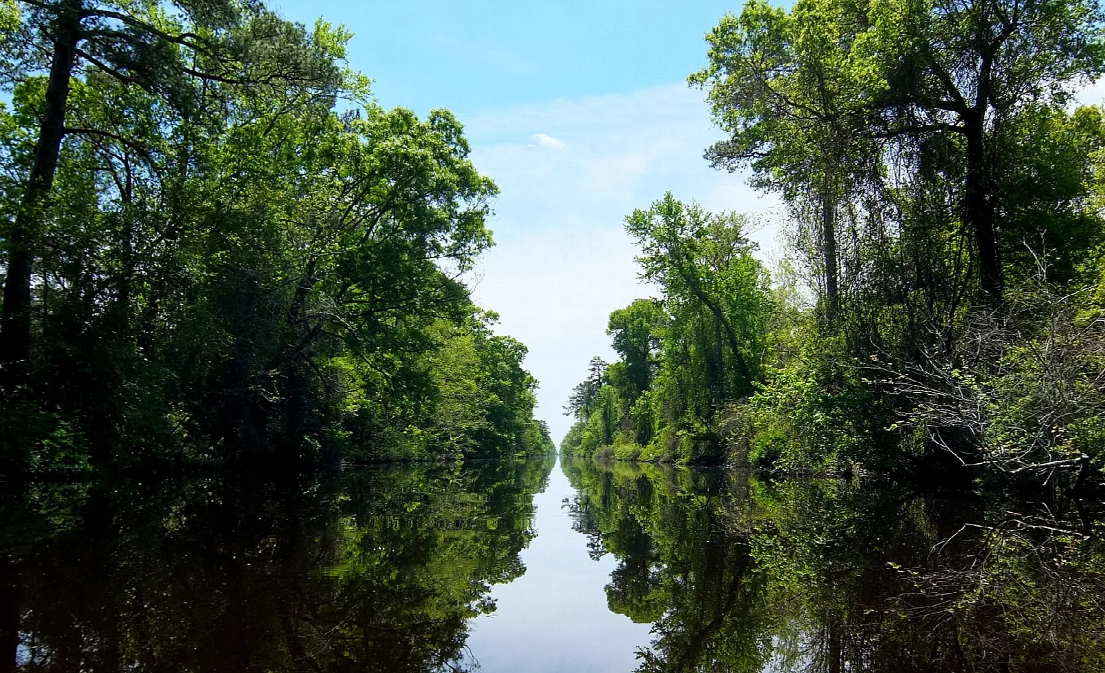 Still dark water between green trees with blue sky and reflections