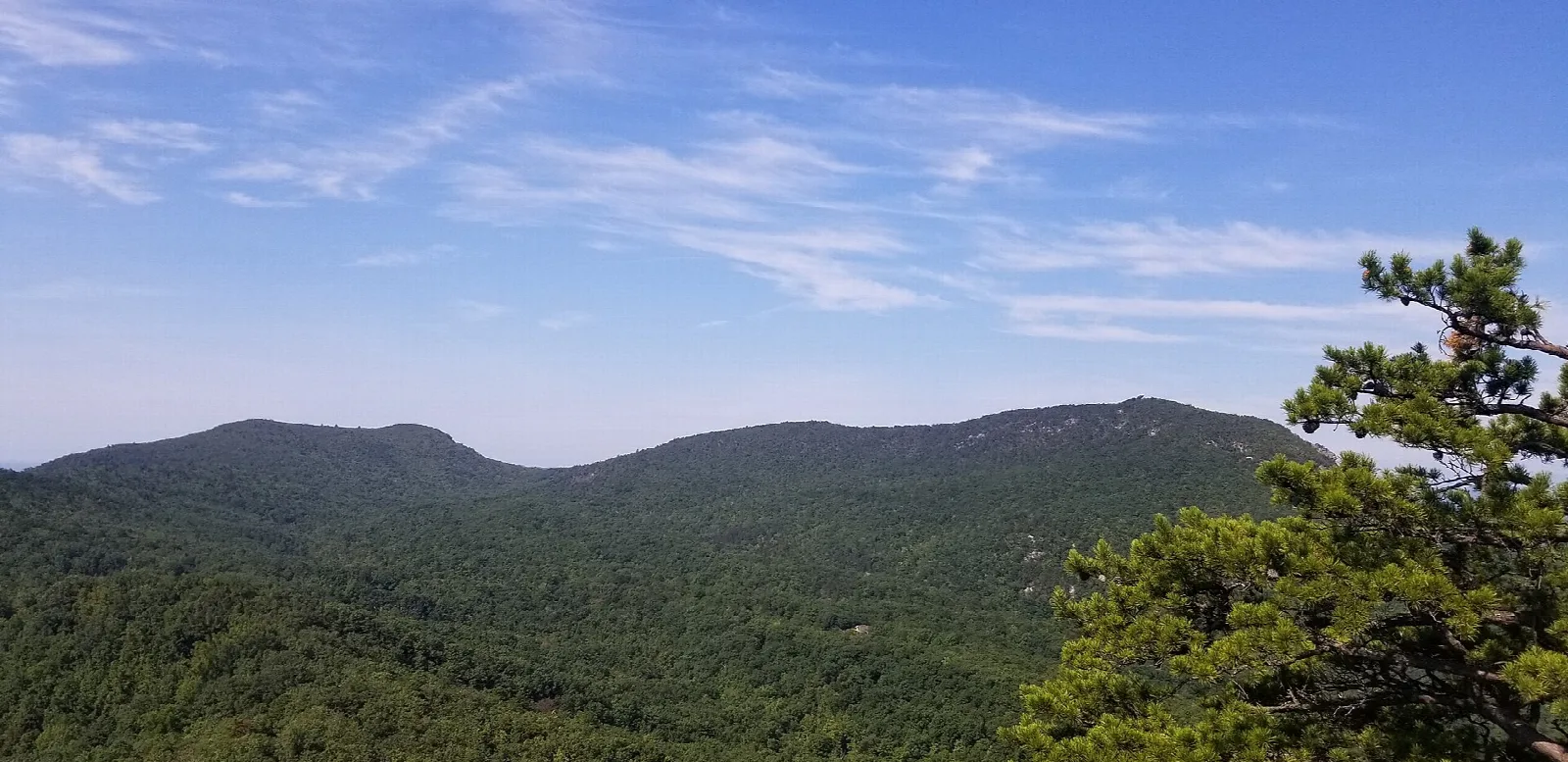 Green mountain ridges under a blue sky with pine branches at the right