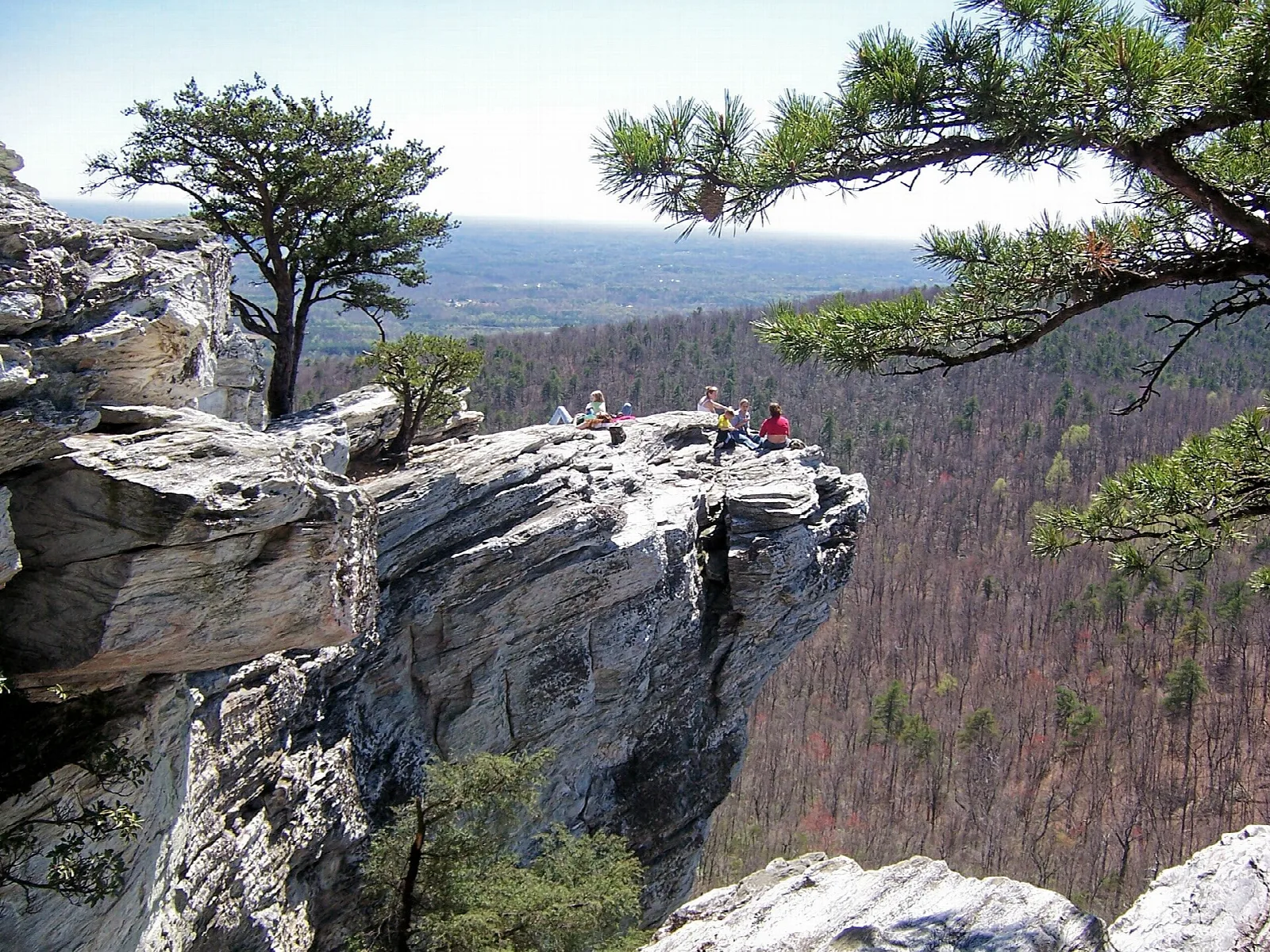 Rocky cliff edge with pine trees and a wide forested view below