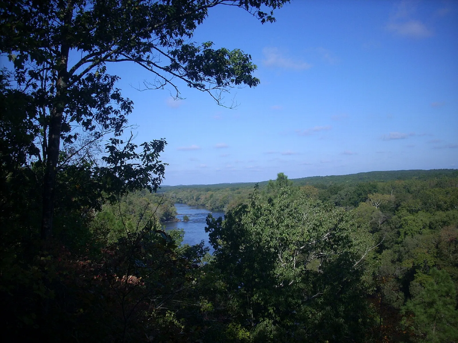 River seen far below through trees under a blue sky