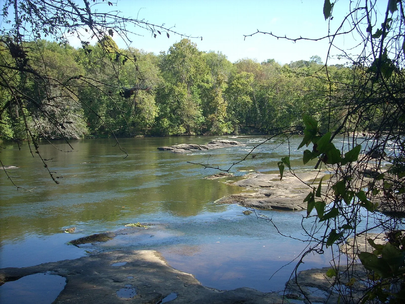 Rocky river rapids with trees on the far bank