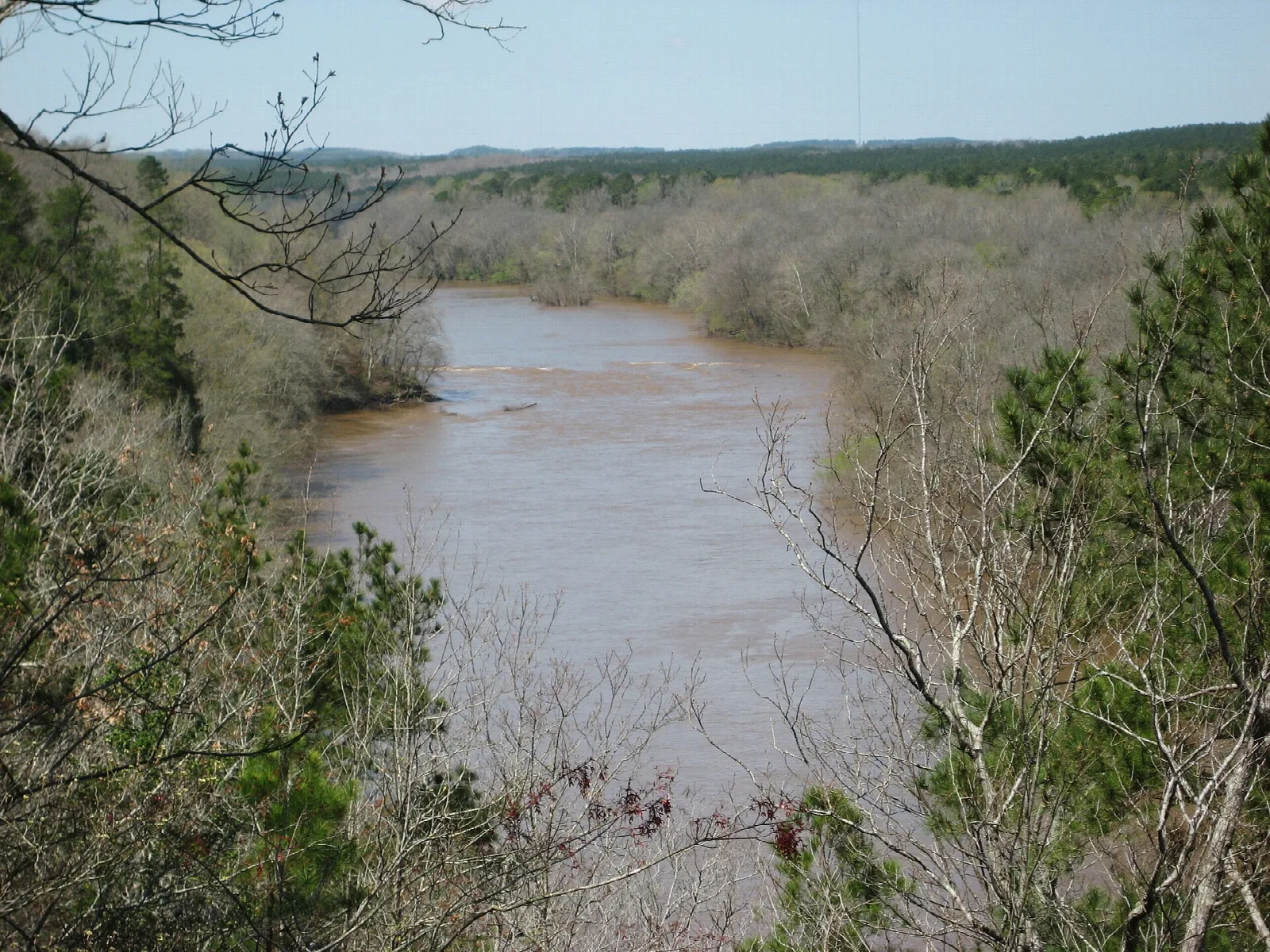 Brown river curving between wooded banks seen from above