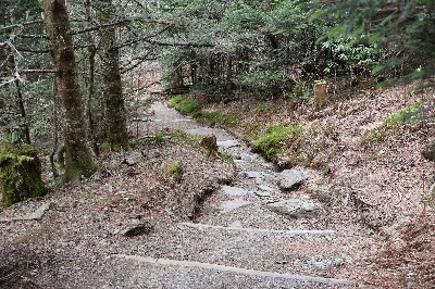 Mount Mitchell State Park