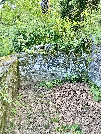 Pisgah View State Park