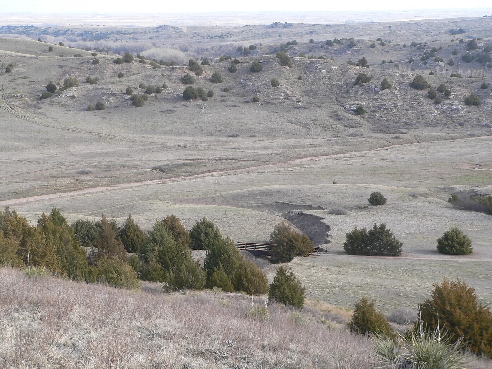 Wide grassy valley with scattered cedars and bluffs in the distance