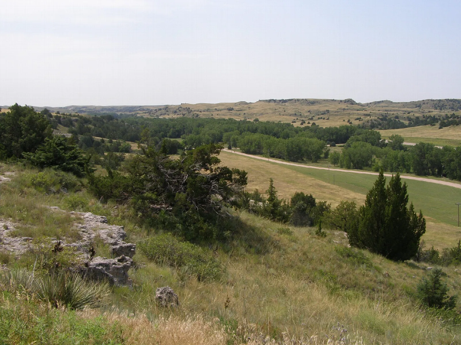 Grassy hillside with juniper trees looking down a valley toward distant bluffs