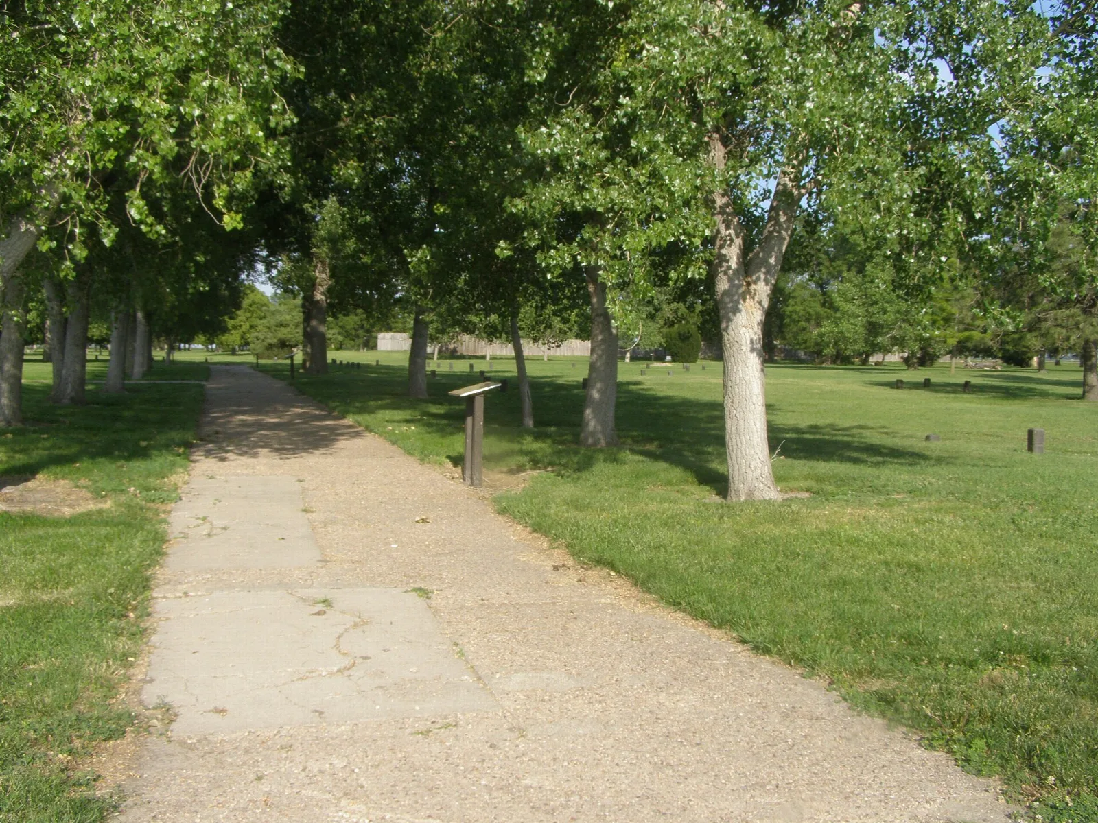 Dirt path running through a tree-lined grassy area