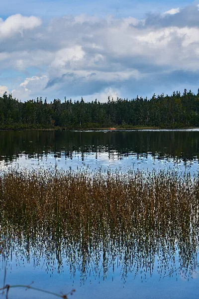 Coleman State Park