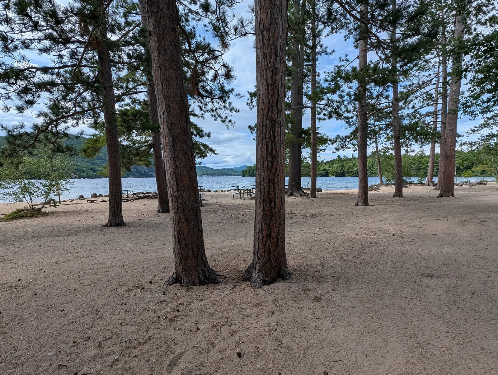 Wide sandy beach with tall pine trunks and a lake and hills in the distance