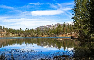 Mendocino National Forest