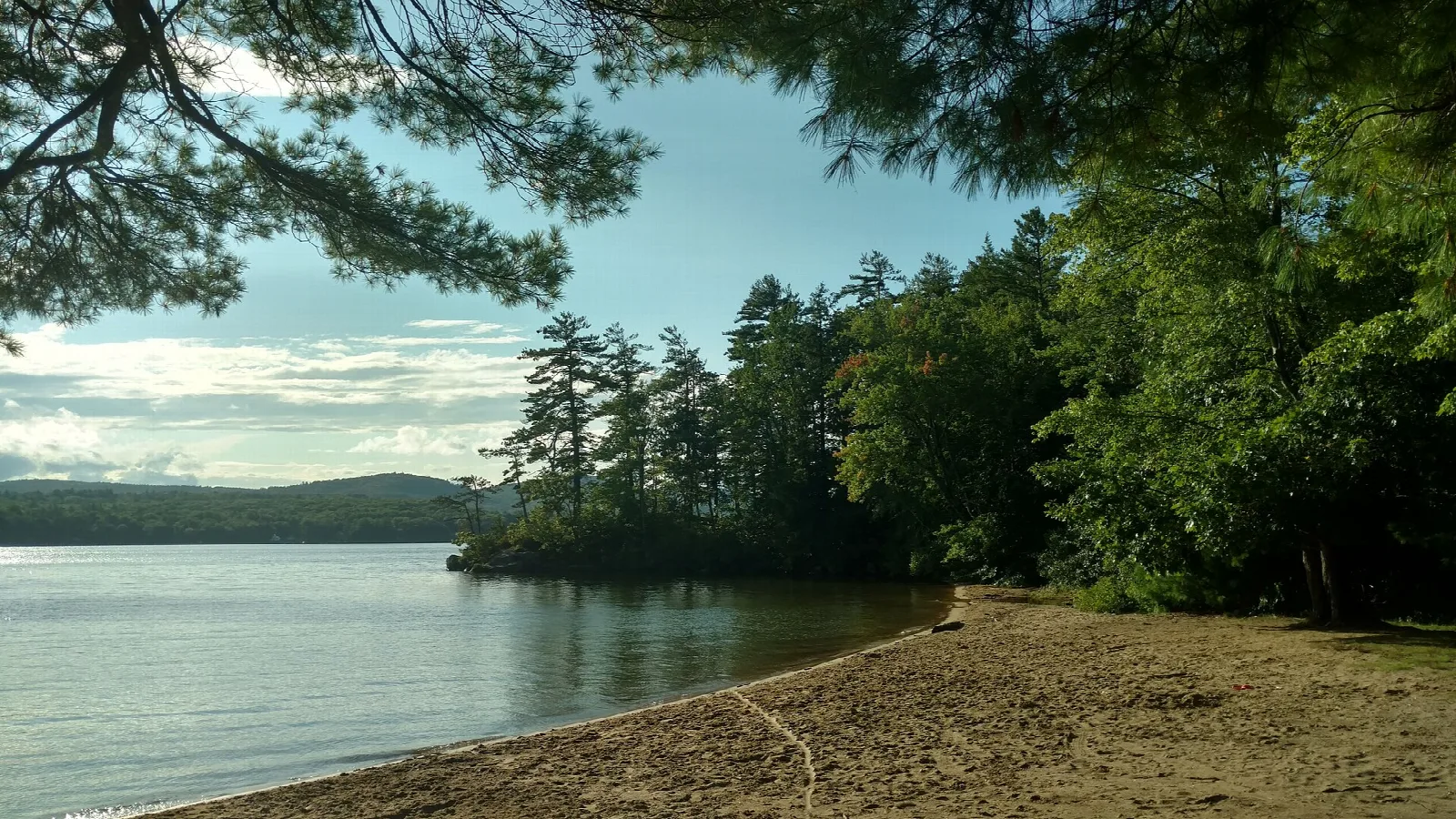 Pine-lined sandy shore on a lake under a partly cloudy sky