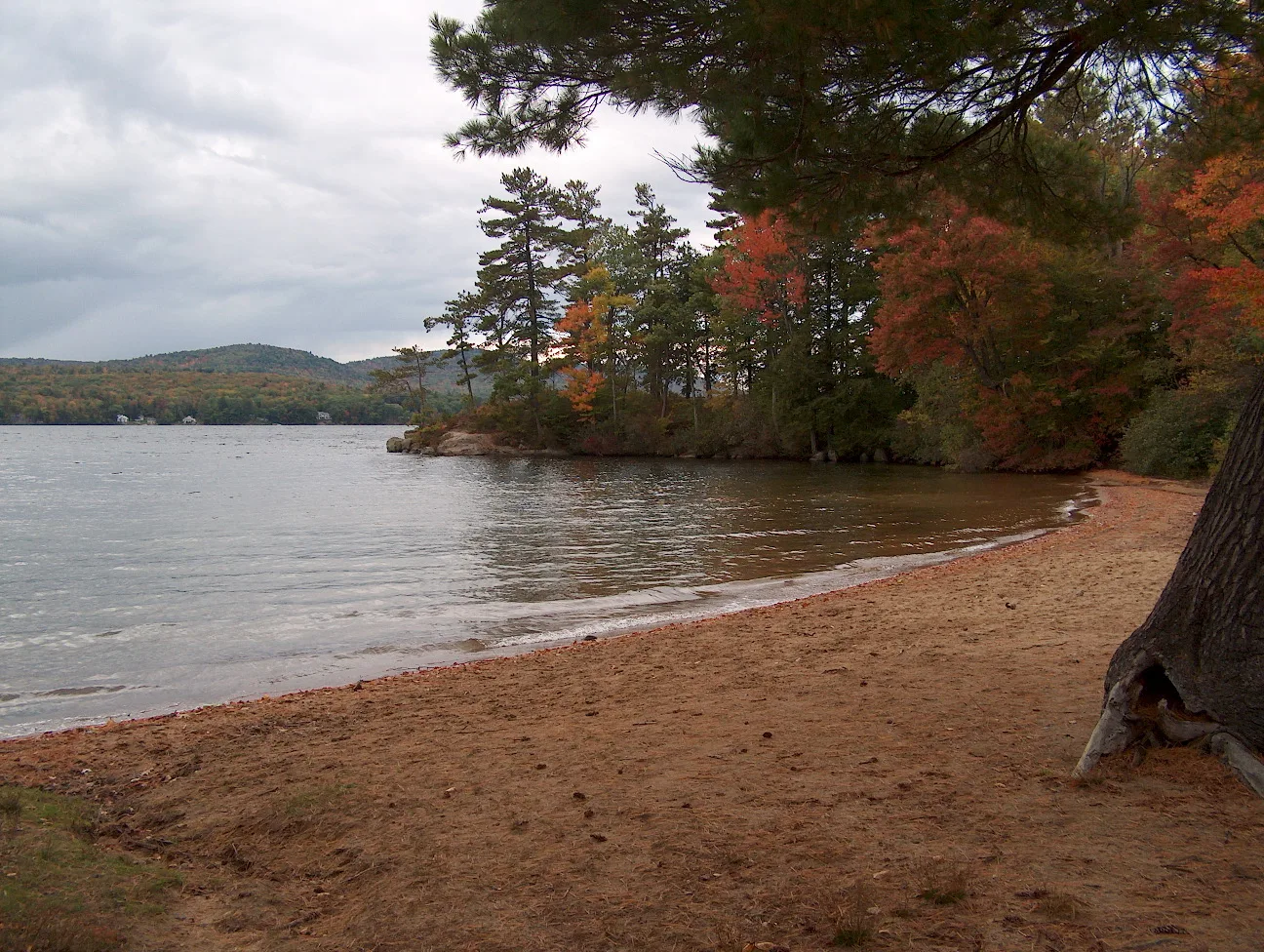 Curved sandy shore along a calm lake with autumn trees and hills beyond
