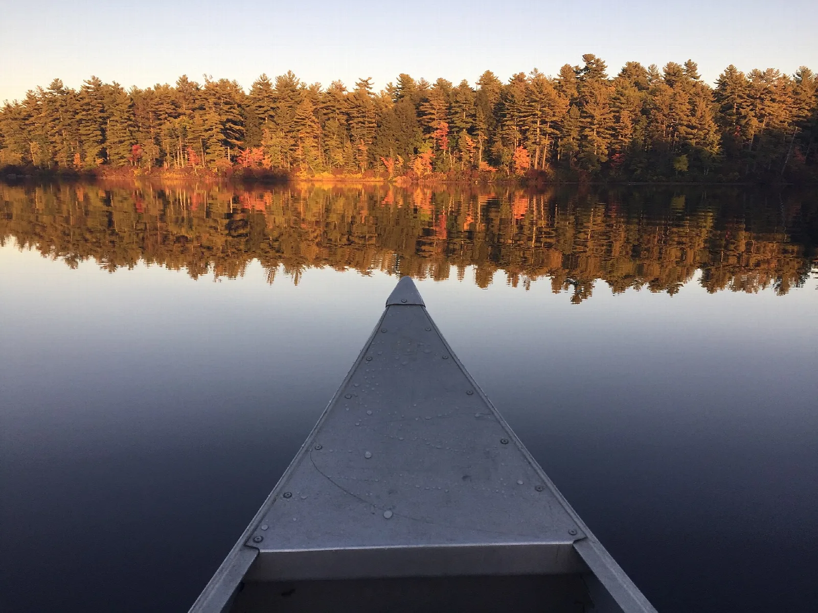 Canoe bow on still water with a pine-lined shore glowing orange in the evening light