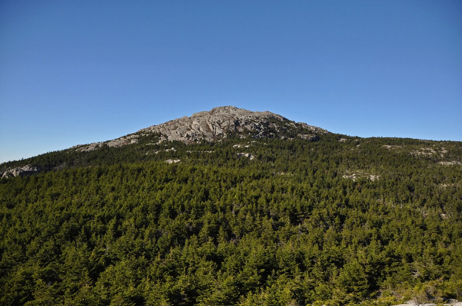 Rocky bare summit of Mount Monadnock above forested slopes under a blue sky