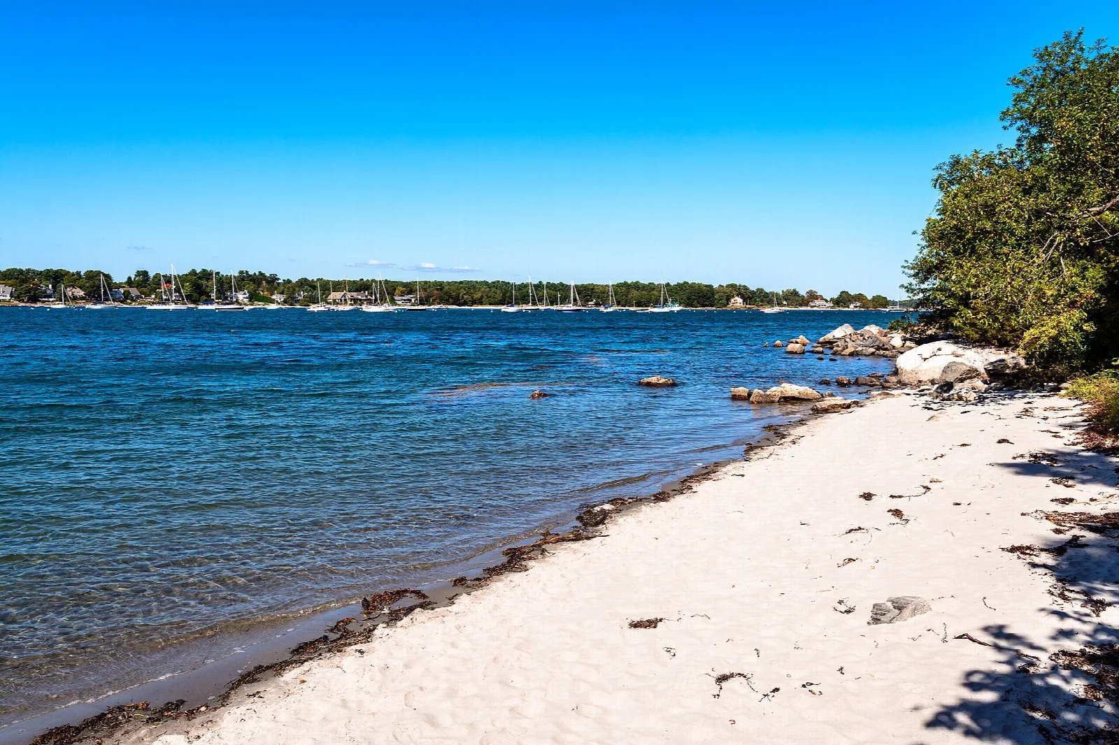 Sandy beach curving along calm blue water with trees at the right
