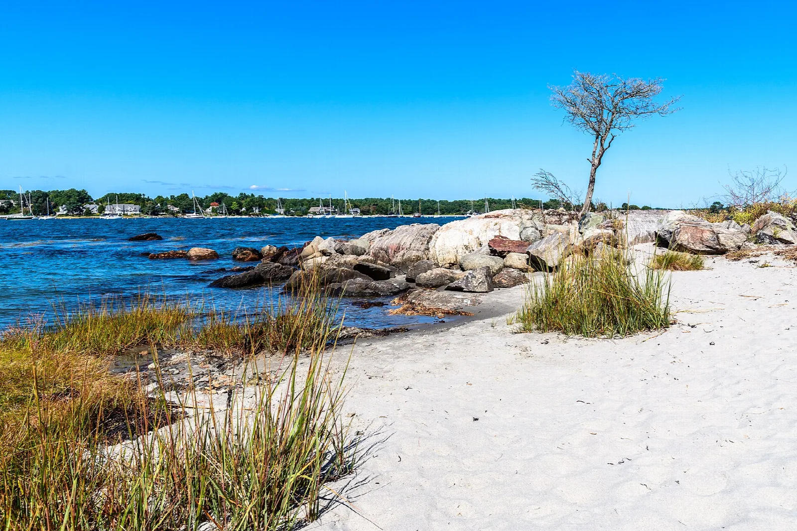 Sandy beach with granite boulders and beach grass beside calm water