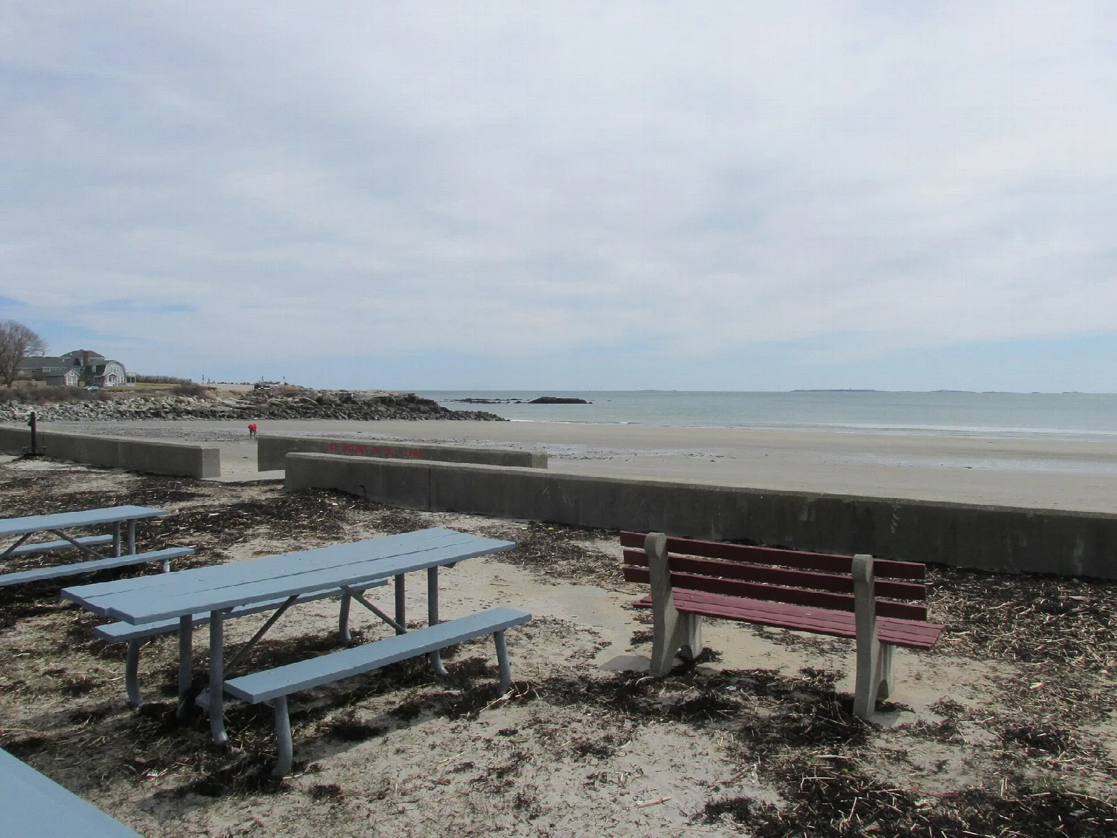 Blue picnic tables on a sandy shore beside a low seawall