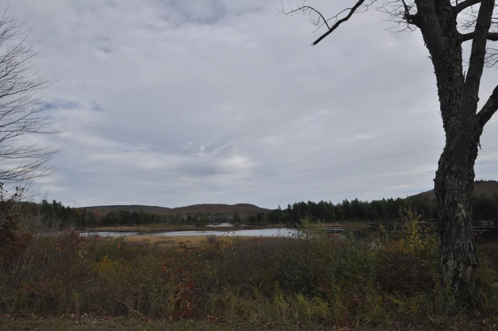 Pond edge with bare trees and low hills under a cloudy sky