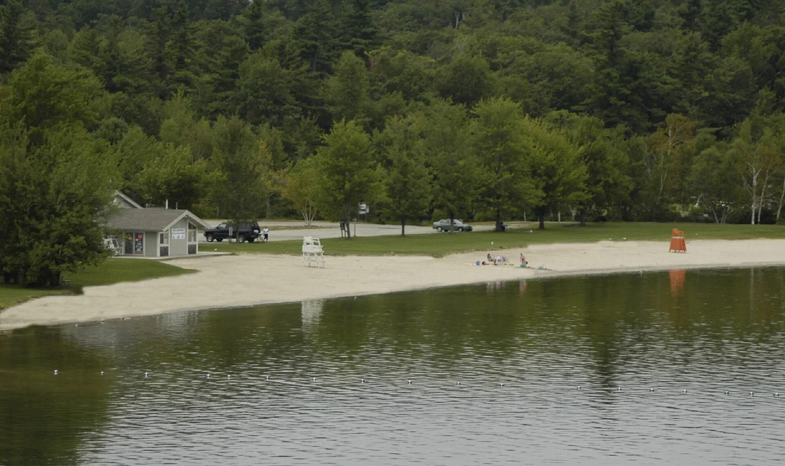 Sandy beach along a calm lake edge with a small building and forest behind