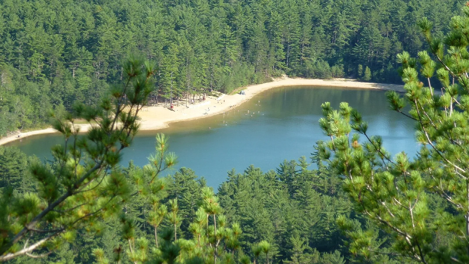 Round lake with a sandy beach seen from above through pine branches