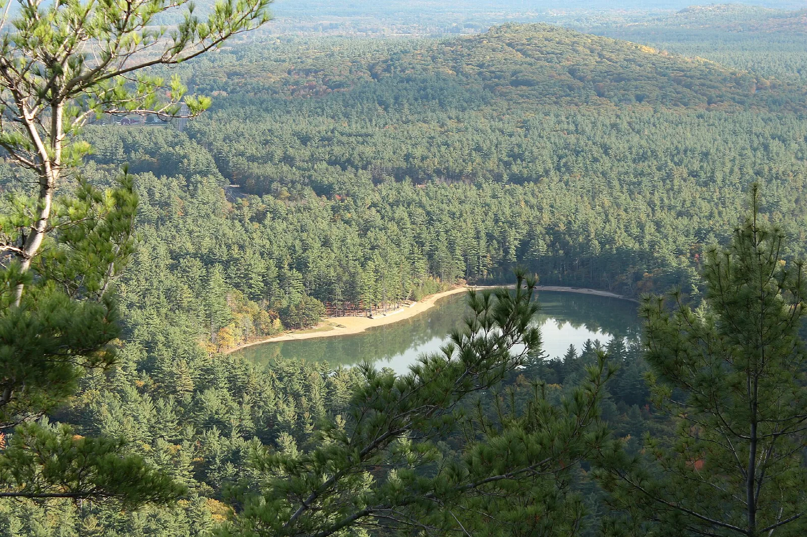 Round lake with a sandy beach surrounded by pine forest, seen from above