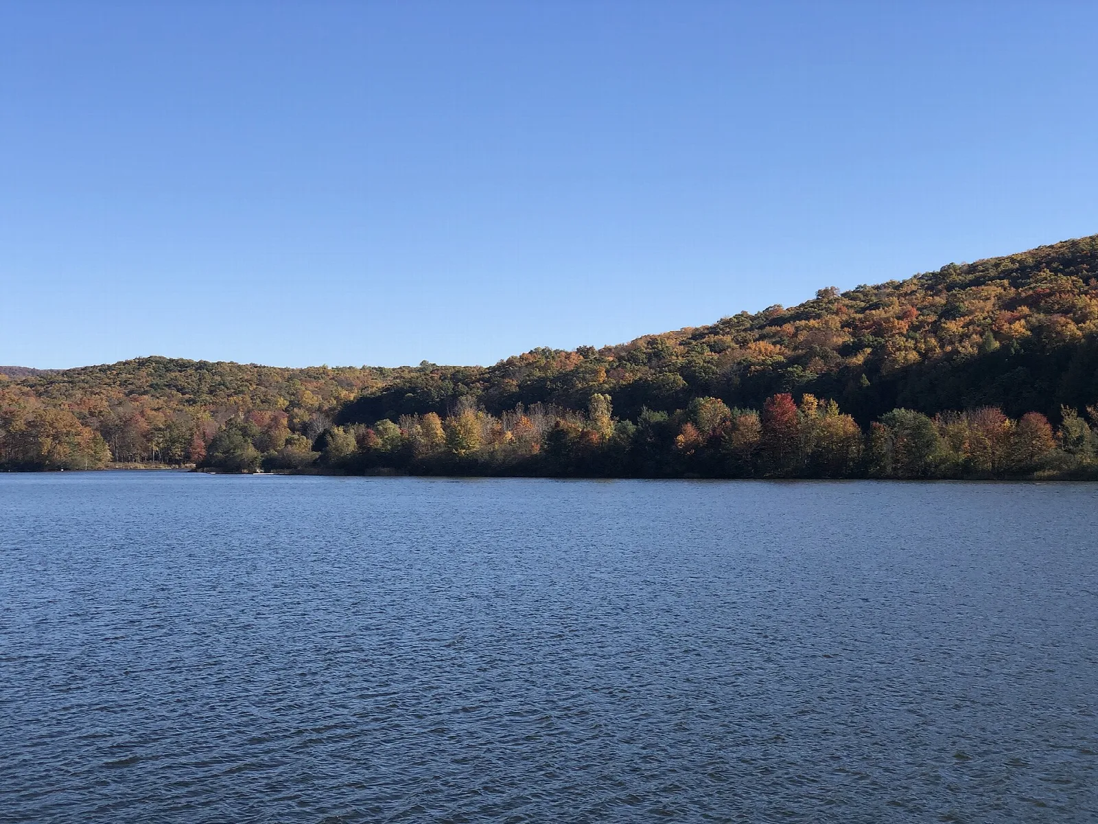 Wooded hill in fall color across still reservoir water