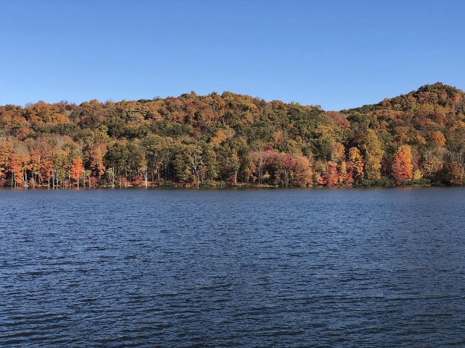 Fall-colored forest along the reservoir shoreline