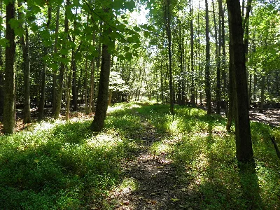 Rancocas State Park