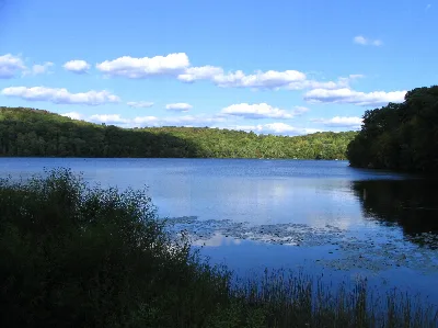 Ringwood State Park